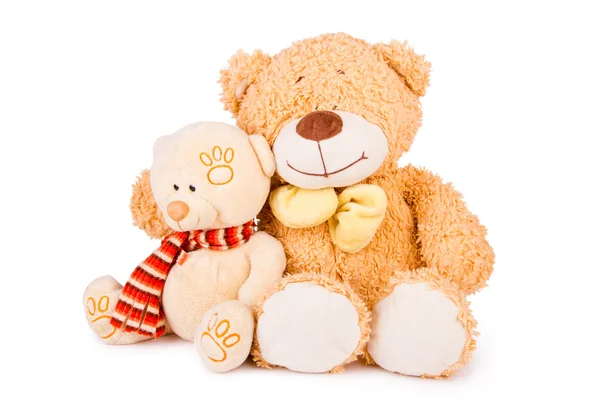 Fluffy teddy bears — Stock Photo, Image