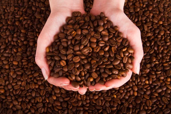 Kaffeebohnen ergießen sich aus geschälten Händen — Stockfoto
