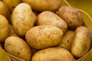 Patates.