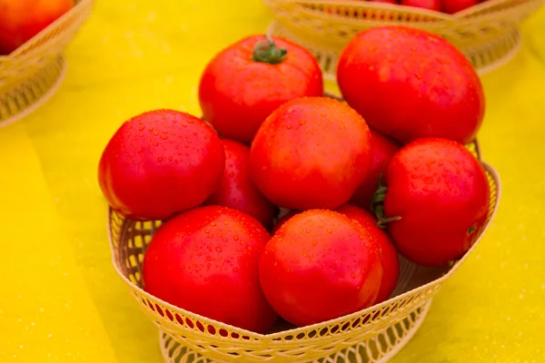 Tomaten — Stockfoto