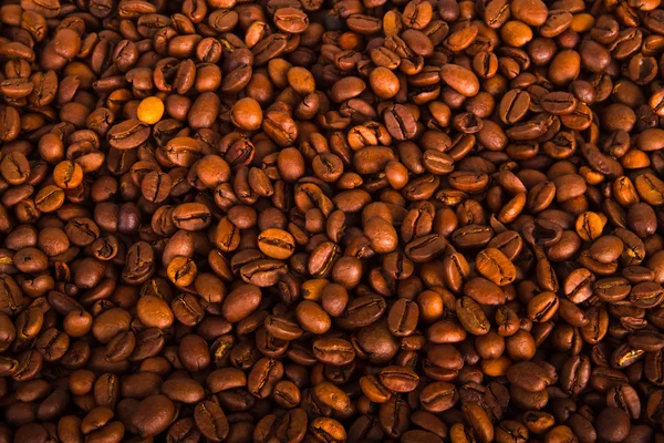 Kaffeekörner — Stockfoto