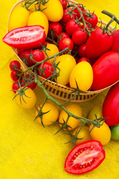 Pomodori rossi e gialli — Foto Stock