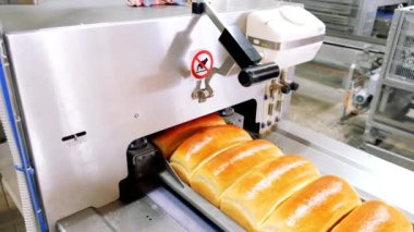 Otomatik taşıma bandındaki fırında ekmek somunları. Ekmek üretimi. Gıda endüstrisi