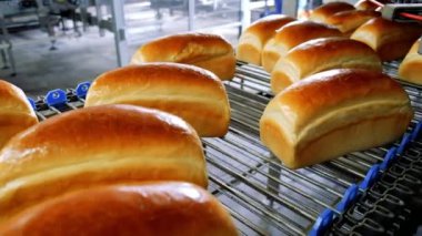 Otomatik taşıma bandındaki fırında ekmek somunları. Ekmek üretimi. Gıda endüstrisi