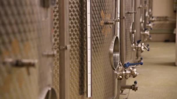 Grandes Tanques Destilação Vinho Aço Inoxidável Silos Para Fermentação Vinho — Vídeo de Stock