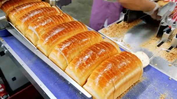 Broodbeladen Een Bakkerij Een Geautomatiseerde Transportband Broodproductie Voedselindustrie — Stockvideo