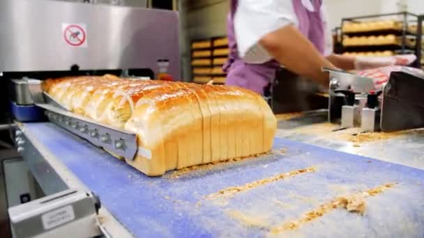 Otomatik Taşıma Bandındaki Fırında Ekmek Somunları Ekmek Üretimi Gıda Endüstrisi — Stok video