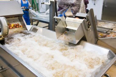 Meyve ve sebze tasnif, işleme ve depolama için modern otomatikleştirilmiş üretim. Patates işleniyor.