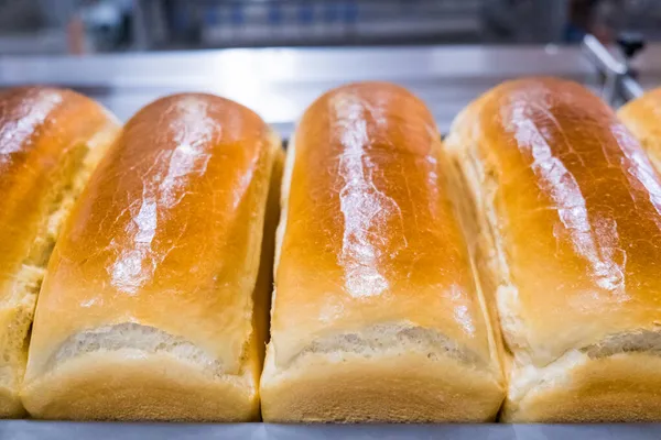 Loafs Pão Uma Padaria Uma Correia Transportadora Automatizada Produção Pão — Fotografia de Stock