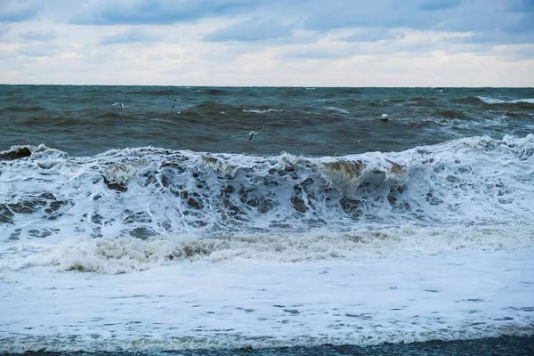 Denizde Dalgalar Dalgaların Püskürtüldüğü Martılar — Stok fotoğraf