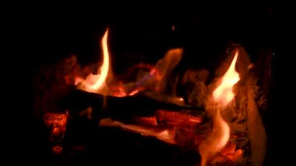 Fuego Arde Una Chimenea Fuego Para Mantener Calor Hermoso Fuego — Vídeos de Stock