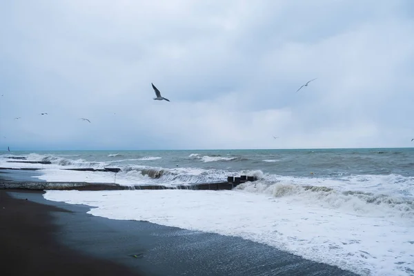 Κύματα Μαίνονται Στη Θάλασσα Και Γλάροι Στον Ψεκασμό Των Κυμάτων — Φωτογραφία Αρχείου