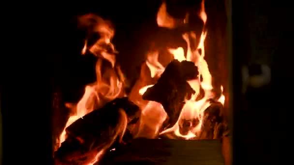 Fuego Arde Una Chimenea Fuego Para Mantener Calor Hermoso Fuego — Vídeo de stock