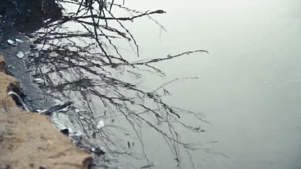 Spätherbstliche Landschaft Fluss Fluss Bäume Und Pflanzen Mit Frost Bedeckt — Stockvideo
