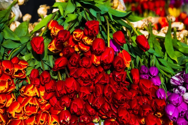 Blomstermarknaden Säljer Blommor Buketter Med Färgglada Tulpaner — Stockfoto