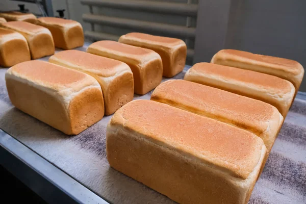 Broodbeladen Een Bakkerij Een Geautomatiseerde Transportband Broodproductie Voedselindustrie — Stockfoto