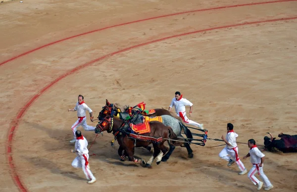 Corrida de toros — Foto de Stock