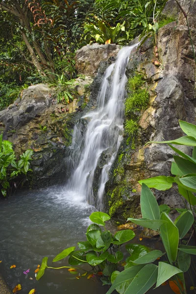 Wasserfall — Stockfoto