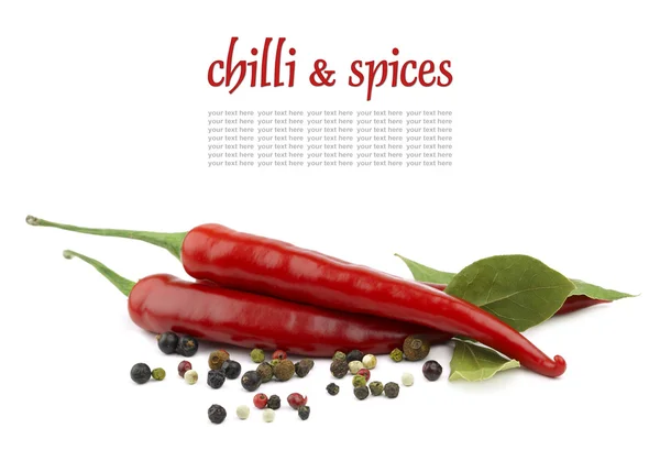 Chili and spices — Stock Photo, Image