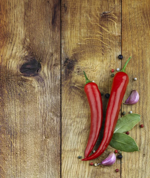 红辣椒和香料 — 图库照片