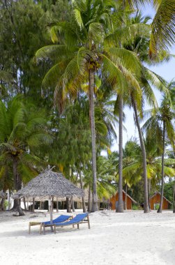 zanzibar kumsalda