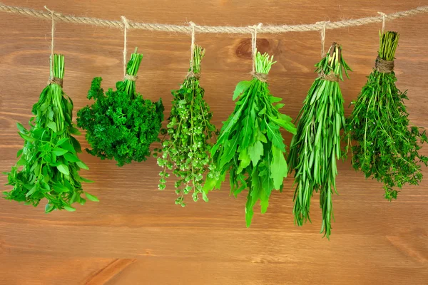 Fresh Herbs Collection / Vintage Style — Stock Photo, Image