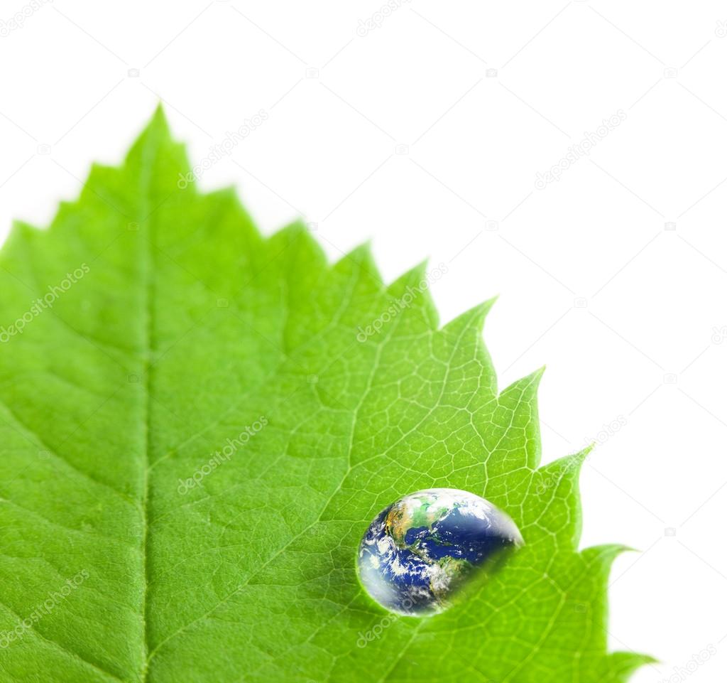 Earth into Big Water Drop on a Green Leaf / white background