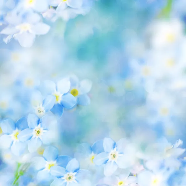 Fantasy mild blommig bakgrund - blå blommor defocused — Stockfoto