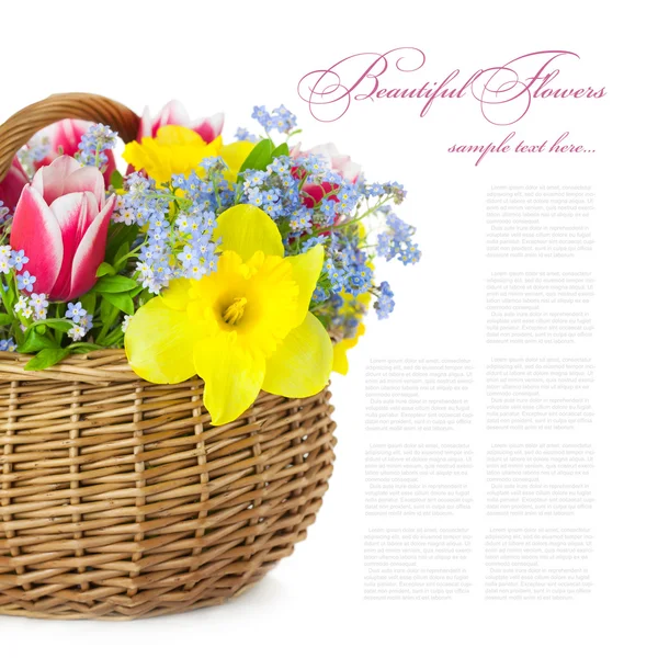 Bouquet of Spring Flowers in Basket - isolated — Stock Photo, Image