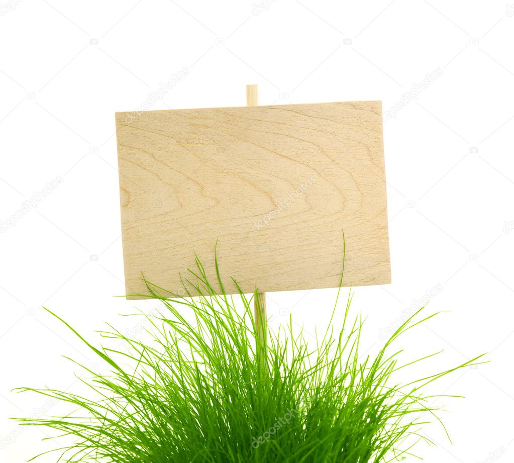 Empty Wooden Sign with Fresh Green Grass - isolated on white