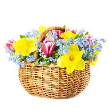 güzel buket bahar çiçek sepeti üzerinde beyaz backgr içine