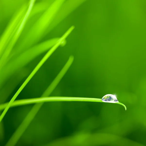 Wereld in een waterdruppel op gras - met kopie ruimte — Stockfoto