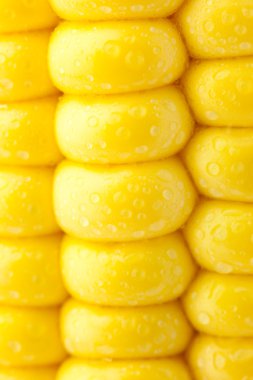 su damlaları - aşırı makro doku ile olgun Mısır taneleri