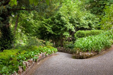 geçit eski güzel park - yaz