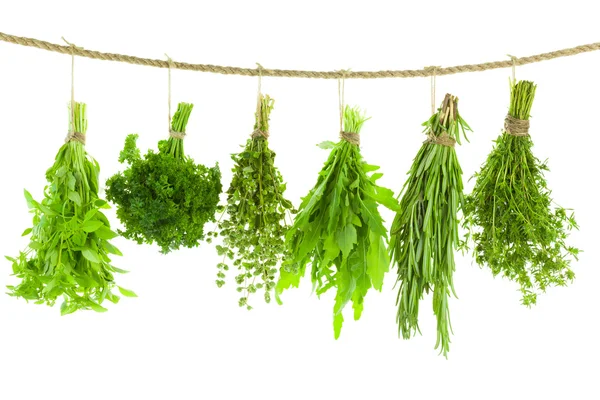 Set of Spice Herbs - Hanging and Drying - isolated on white bac — Stock Photo, Image