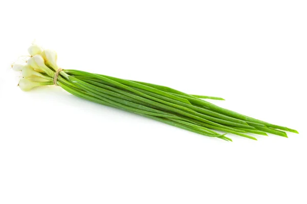 Mazzo di erba cipollina verde fresca isolato — Foto Stock