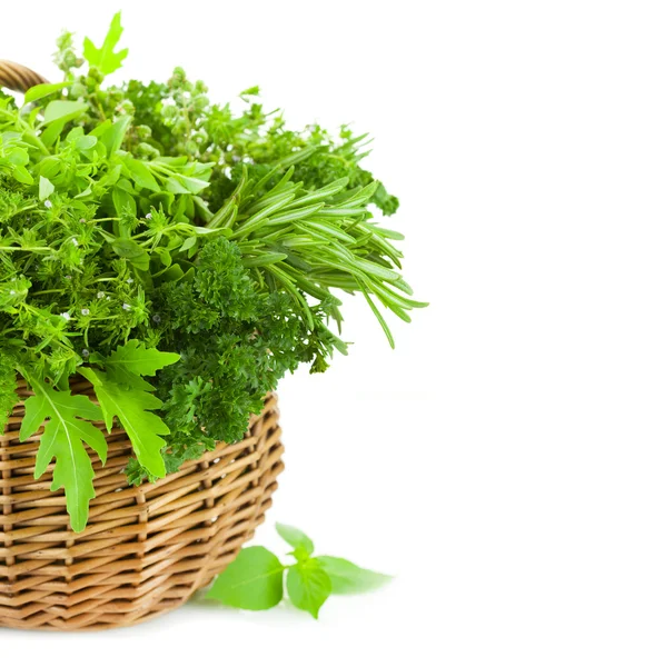 Collection of Fresh Spicy Herbs in Basket - isolated, Vertical — Stock Photo, Image