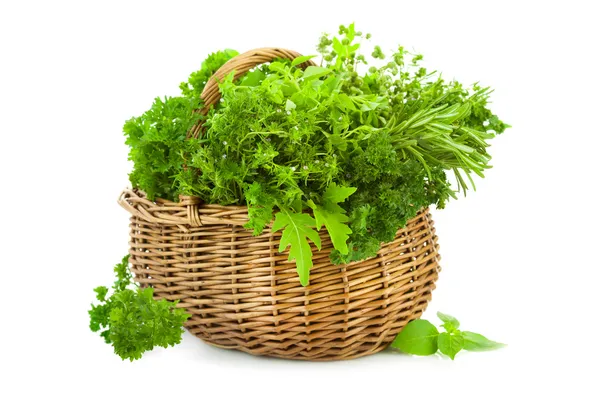 Collection of Fresh Spicy Herbs in Basket - isolated — Stock Photo, Image