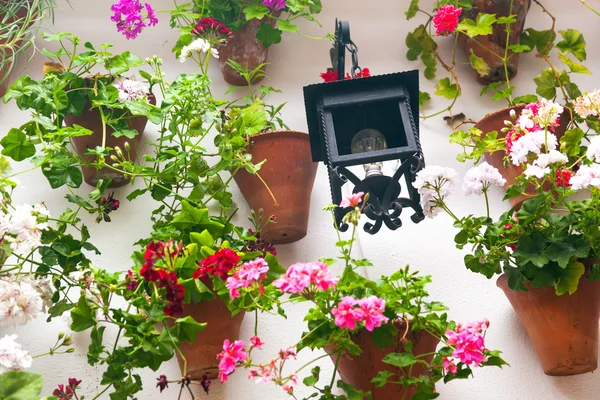 Vasi da fiori e fiori rossi su una parete bianca con lanterna vintage . — Foto Stock