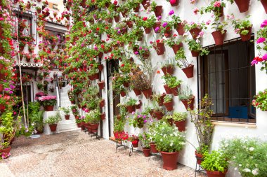 Bahar çiçek dekorasyon eski ev veranda, cordoba, İspanya