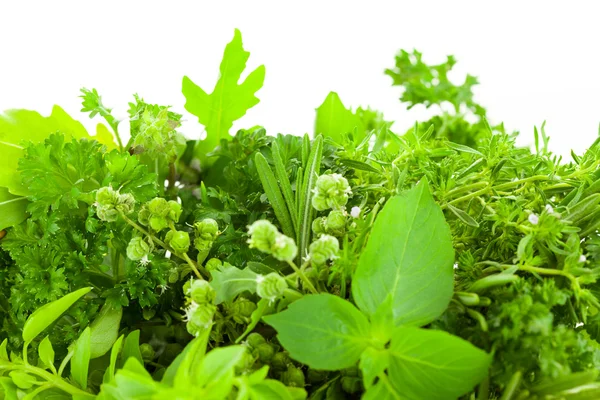 Border of Different Fresh Spice Herbs su sfondo bianco — Foto Stock