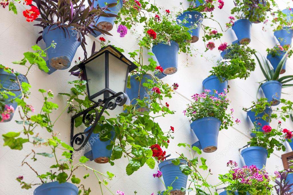 Blue Flowerpots and Flowers on a white wall with vintage lantern