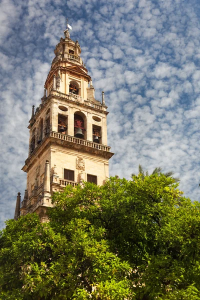 Bell Tower (Torre de Alminar) of the Mezquita Cathedral (The Gre — Stock Photo, Image