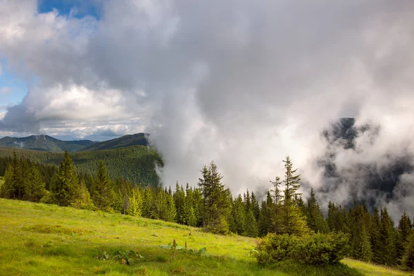 Majestic fog and clouds in the  Mountain valley landscape - gree — Stock Photo, Image