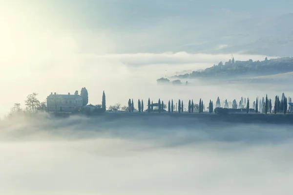 Утренний Туманный Мистический Пейзаж Деревья Холмы Тумане Светлом Темном Тоскана — стоковое фото