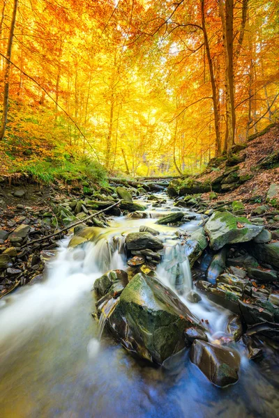 Paisagem Outono Córrego Cachoeira Montanha Nas Rochas Com Folhas Secas — Fotografia de Stock