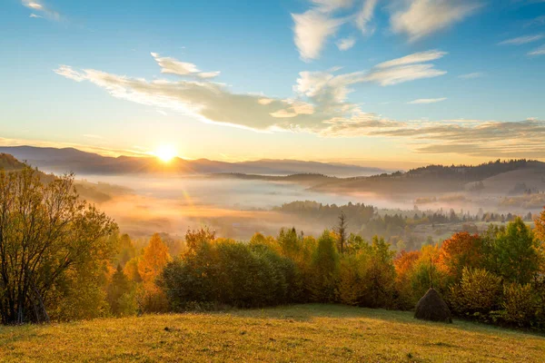 日の出の秋の山の谷 太陽が昇るとカラフルな木を照らします カルパチア山脈 ウクライナ ヨーロッパ — ストック写真
