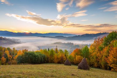 Gün doğumunda Dağ Vadisi. Güneş doğuyor ve renkli ağaçları aydınlatıyordu. Sonbahar. Karpat Dağları, Ukrayna, Europ