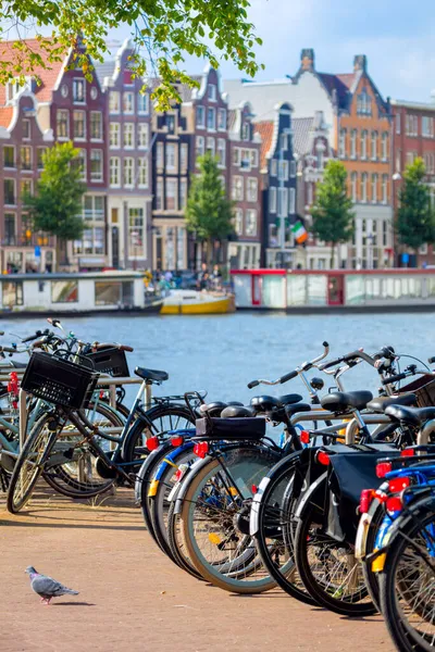 Vue Célèbre Amsterdam Vélos Garés Maisons Traditionnelles Sur Rivière Amstel — Photo