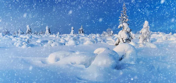 Прекрасный Панорамный Пейзаж Северной Зимней Природы Много Снежных Заснеженных Деревьев — стоковое фото